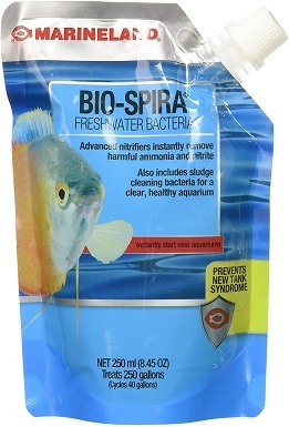 cutter backyard bug control safe for dogs