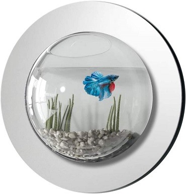 best wall mounted fish tank