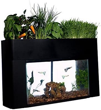 Vườn AquaSprouts