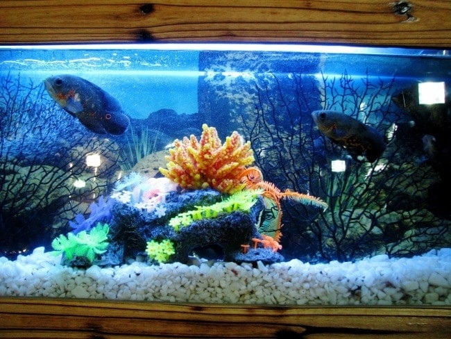 Aquarium with undergravel filter