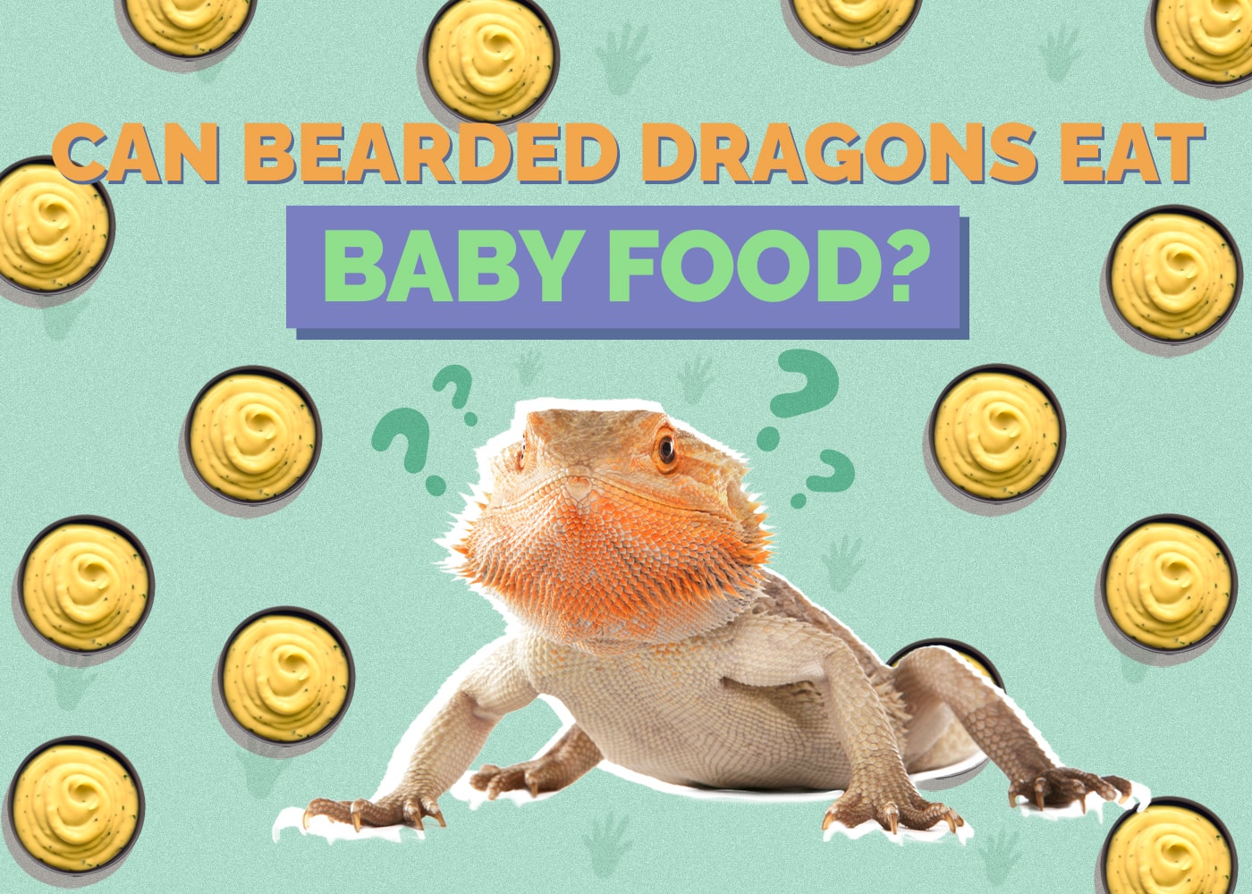 Can Bearded Dragons Eat Baby Food