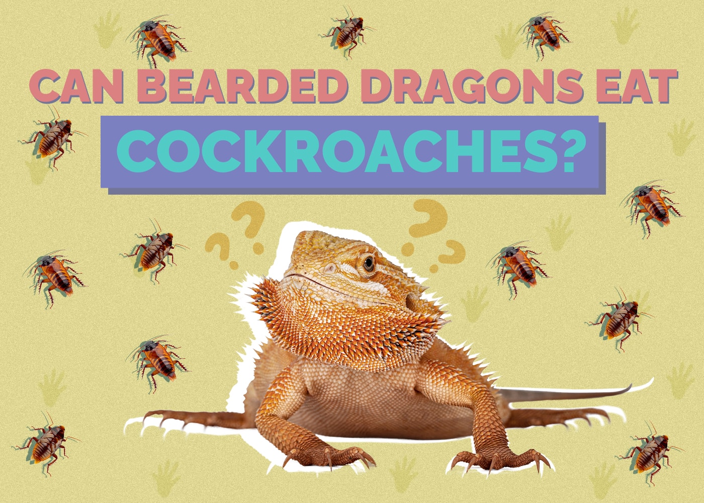 Can Bearded Dragons Eat Cockroaches