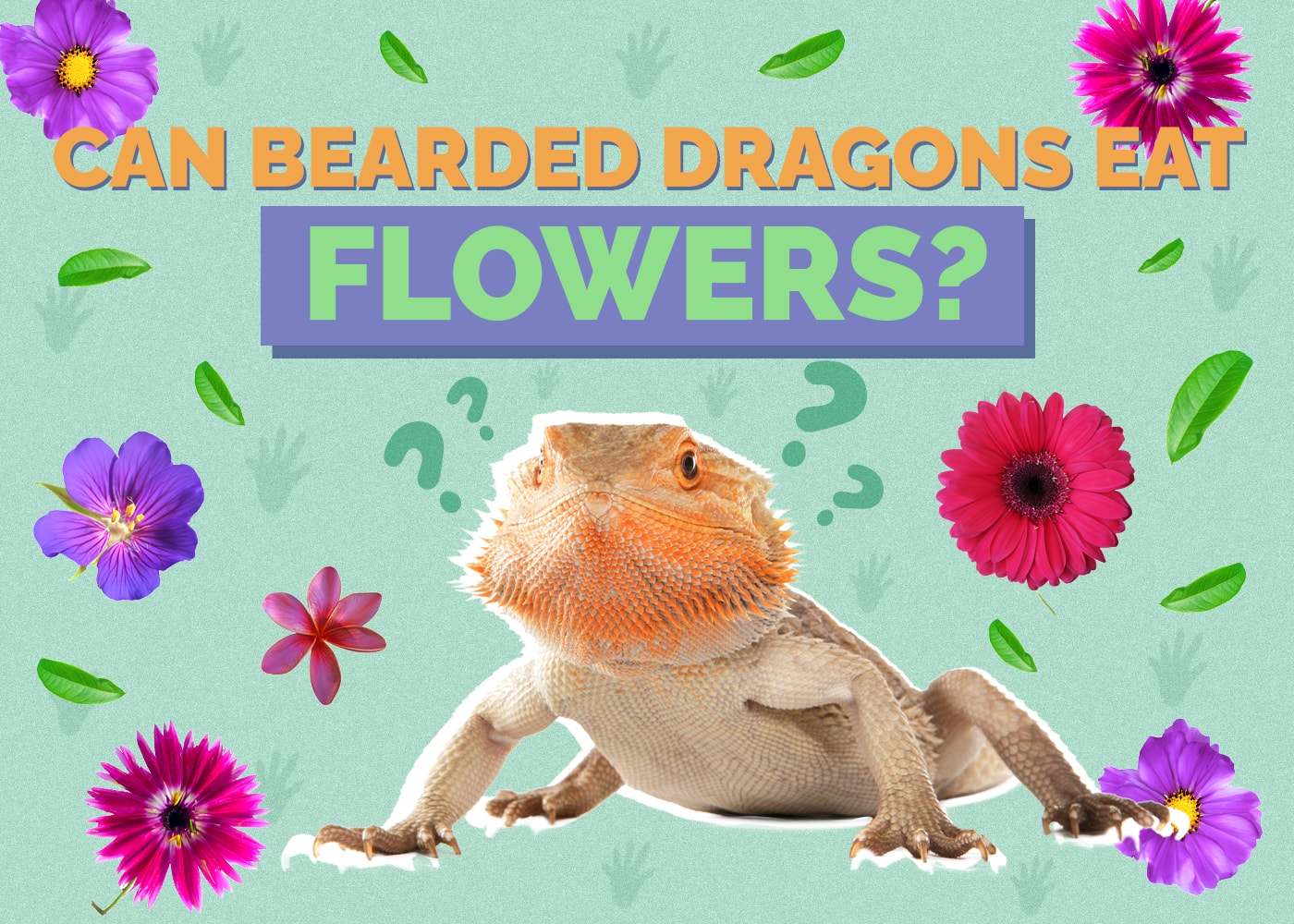 Can Bearded Dragons Eat Flowers