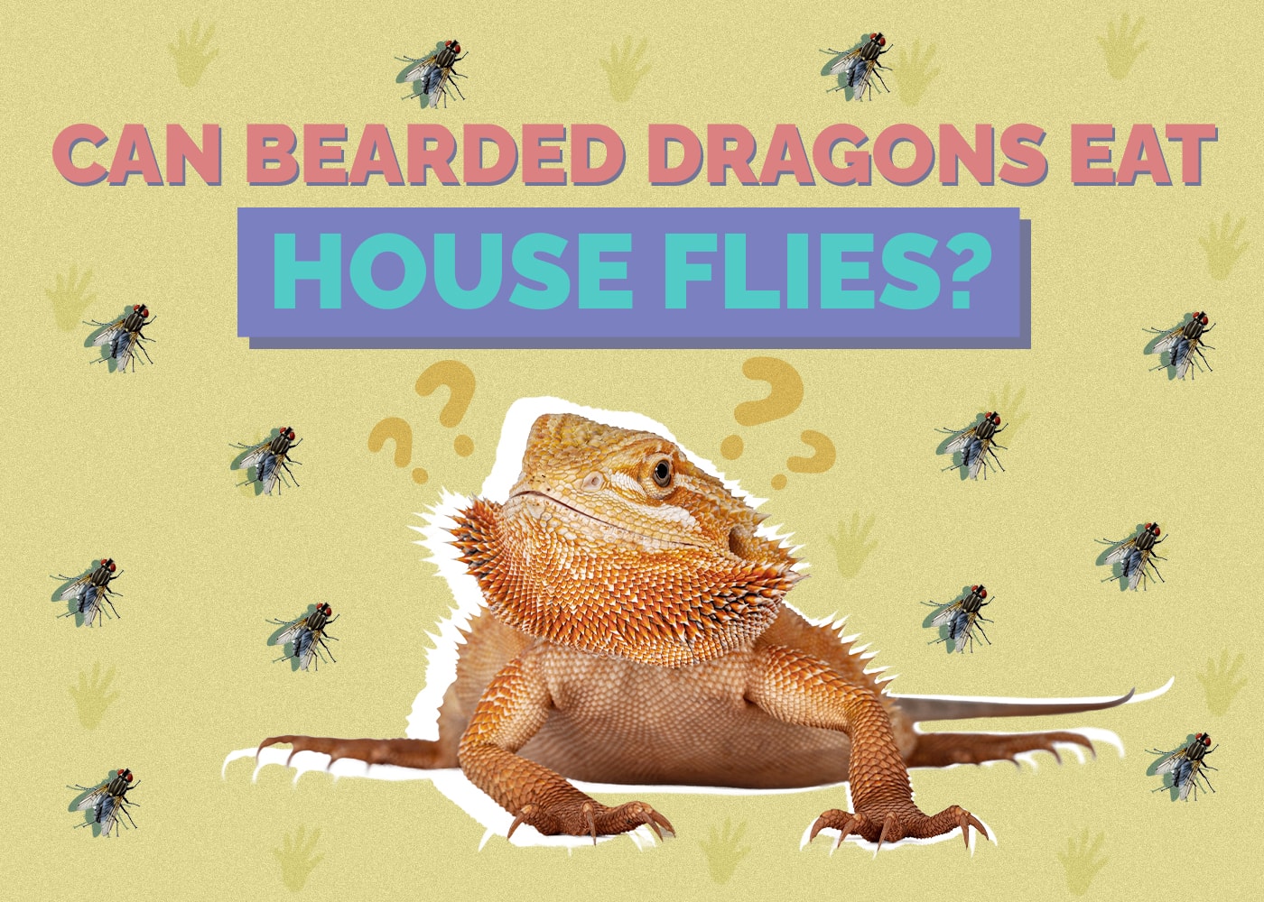 Can Bearded Dragons Eat House Flies
