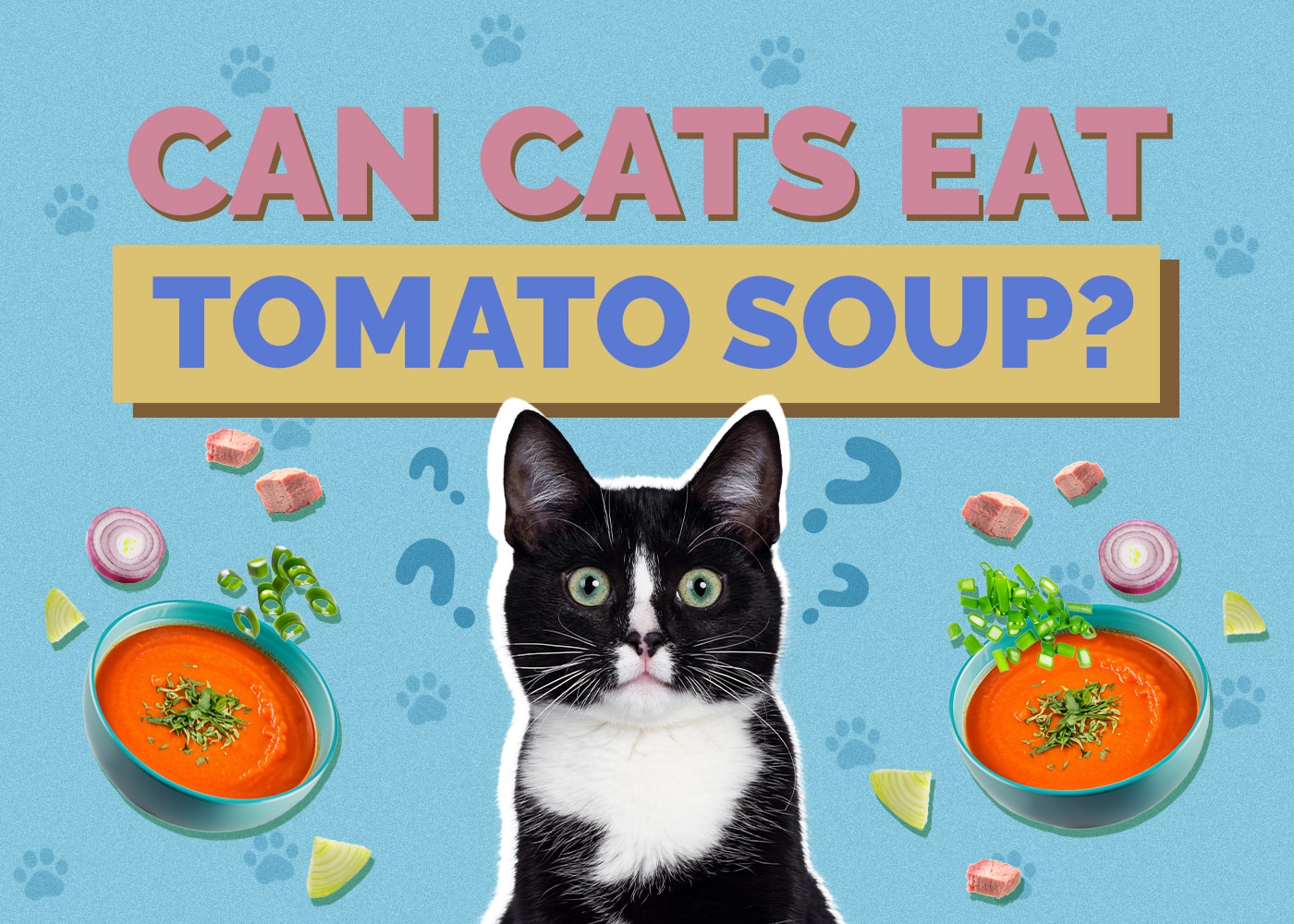 Can Cats Eat Tomato Soup