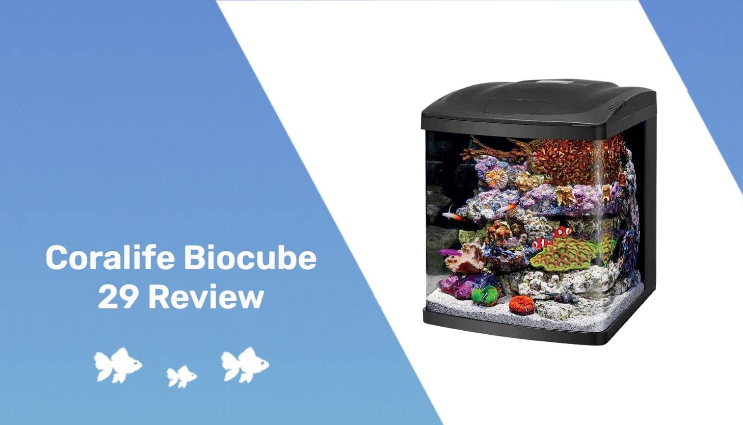 Coralife Biocube 29 Review