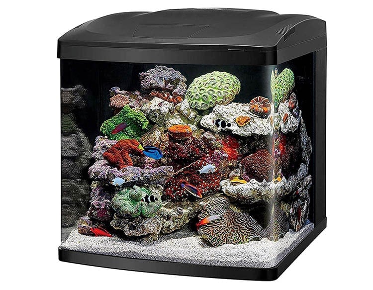 Coralife LED Biocube Aquarium