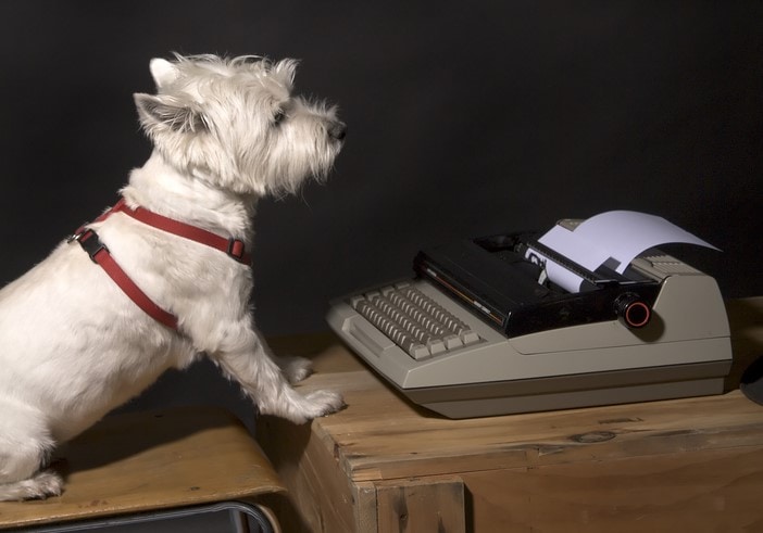 Dog sitting infrom of a writting machine