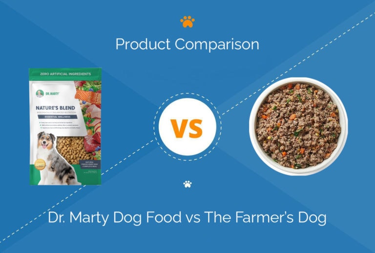 Dr. Marty Dog Food vs The Farmer’s Dog 2023 Comparison Hepper
