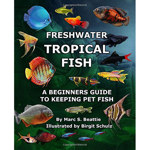 tropical fish starter guide