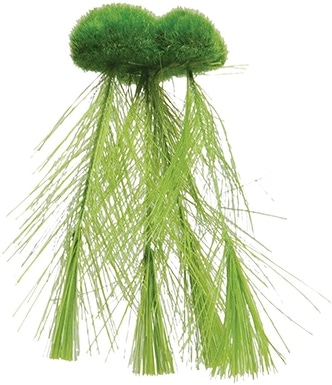 Floating Moss with Feather Roots