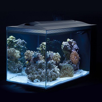 Fluval Sea Evo V Saltwater Fish Tank Aquarium Kit feat
