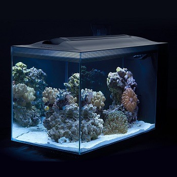 Fluval-Sea-Evo-V-Saltwater-Fish-Tank-Aquarium-Kit-feat