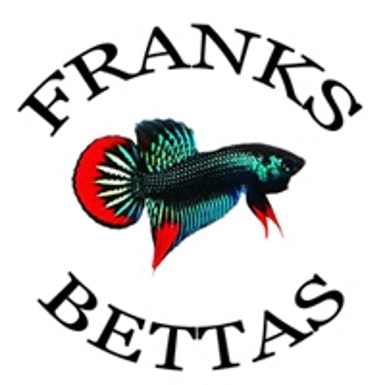Biểu tượng cá betta của Franks