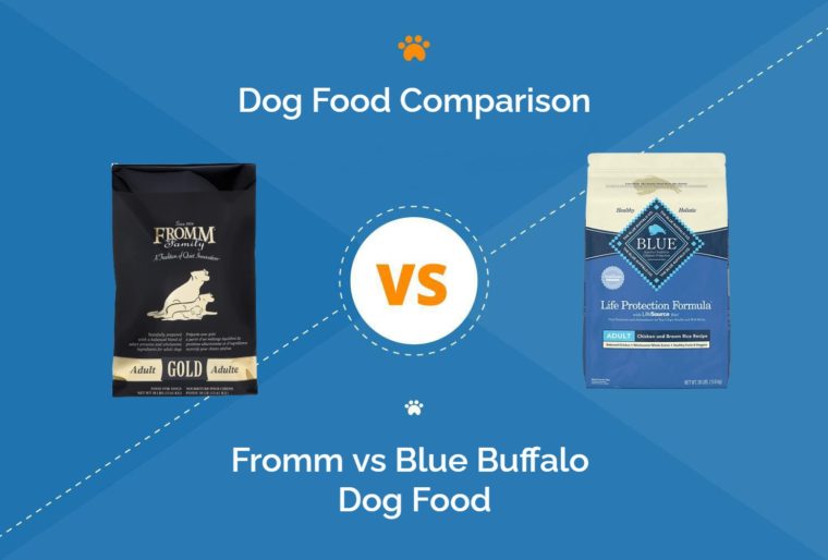 Dr. Marty Dog Food vs The Farmer’s Dog 2023 Comparison Hepper