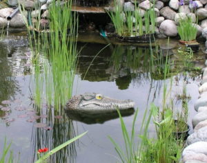 A heron deterrent in a fish pond
