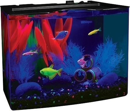 Bộ hồ cá GloFish wHood
