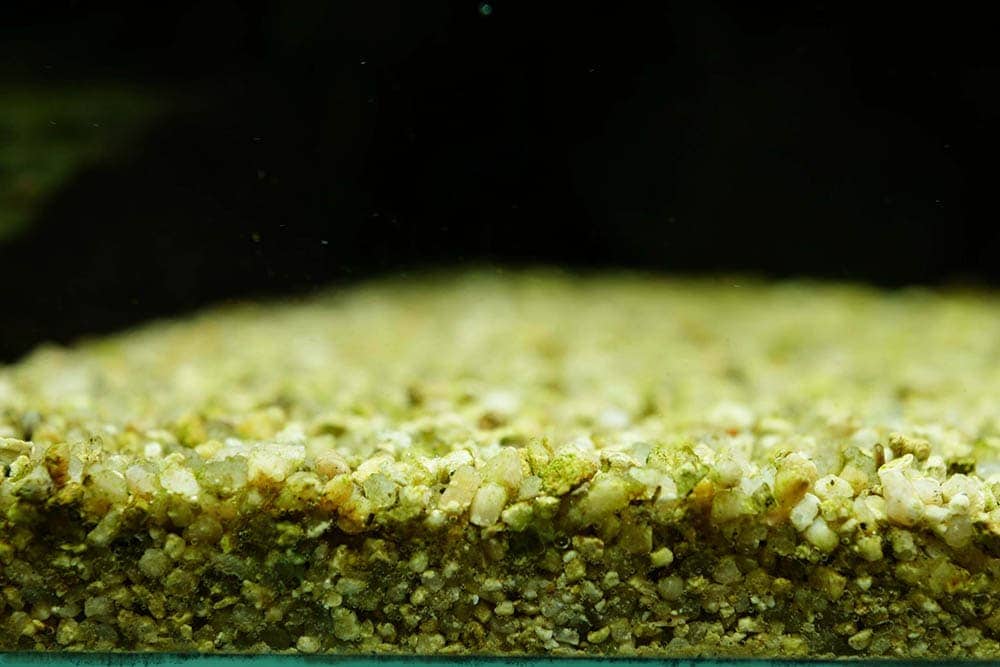 Gravel in aquarium