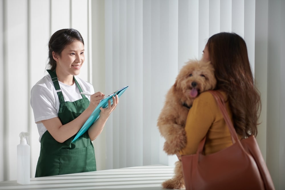 Groomer attending an owner with her dog