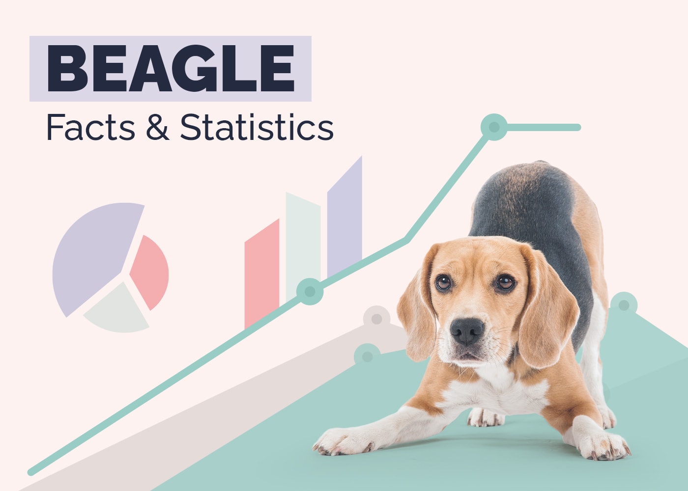 Beagle Statistics