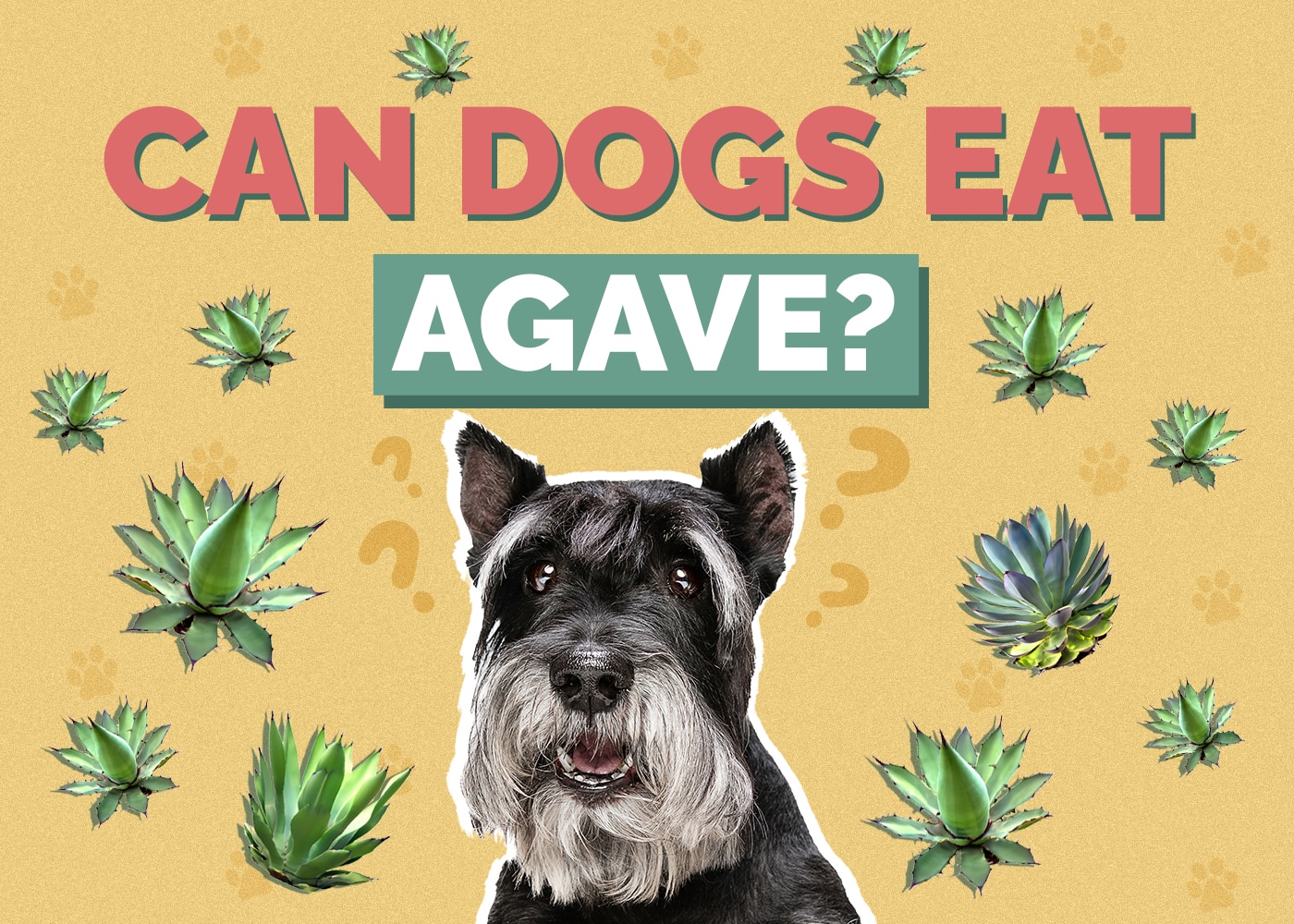 Can Dogs Eat Agave