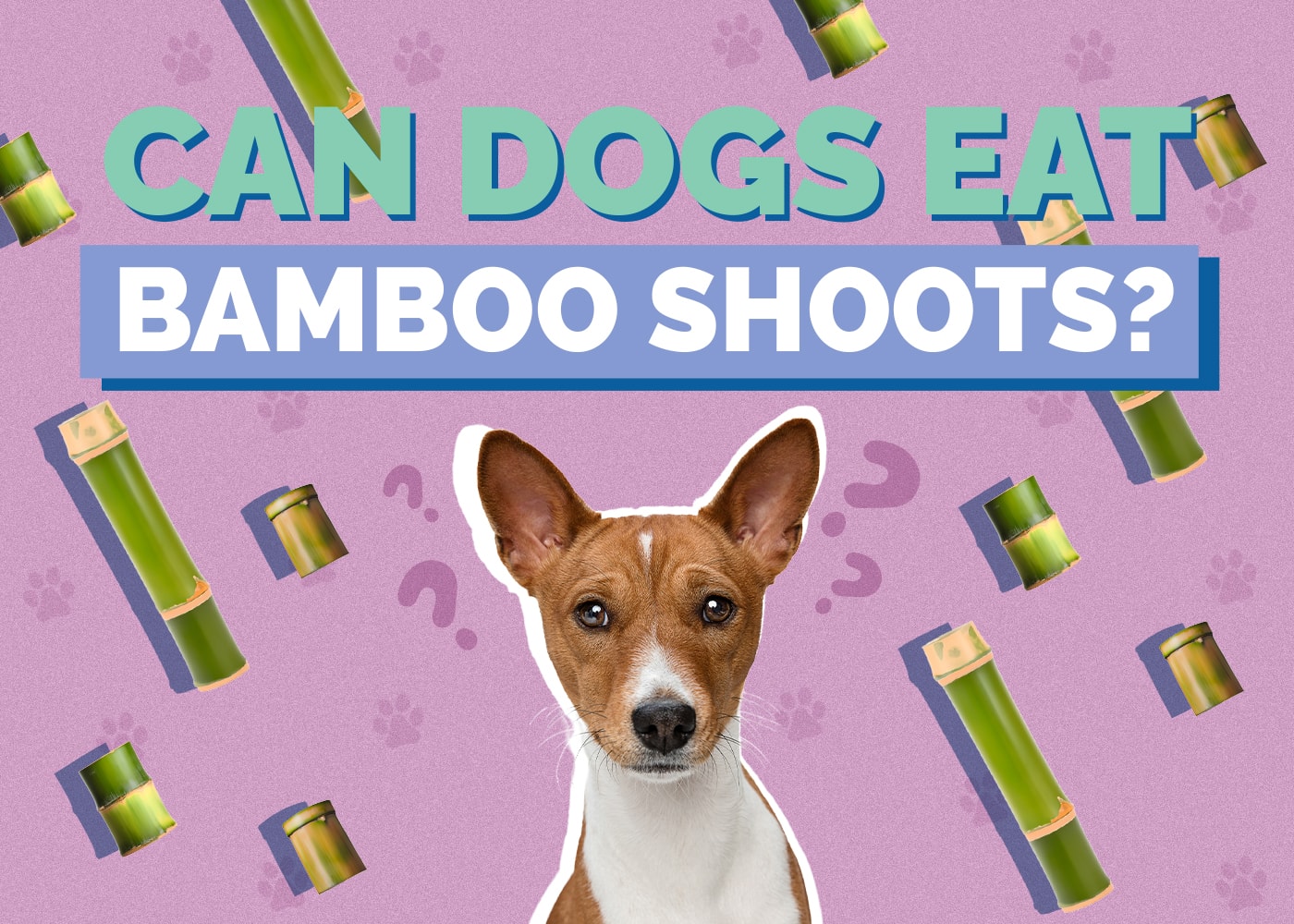 Can Dogs Eat Bamboo Shoots