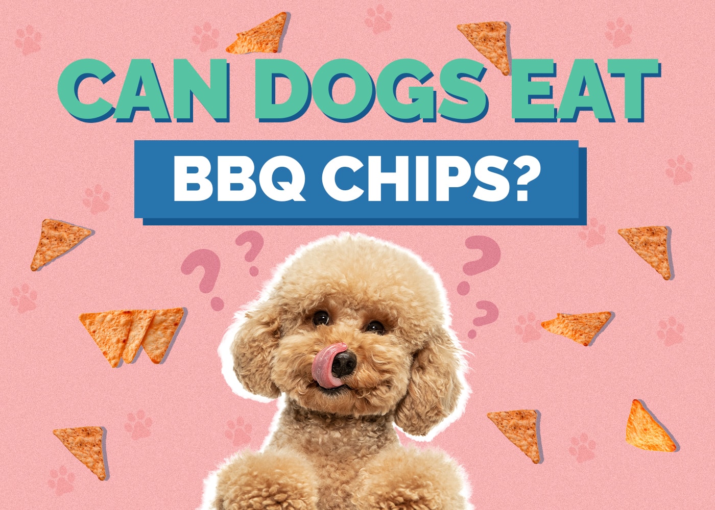 Can Dogs Eat BBQ Chips