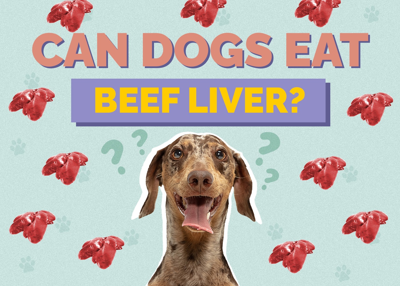 Can Dogs Eat Beef Liver