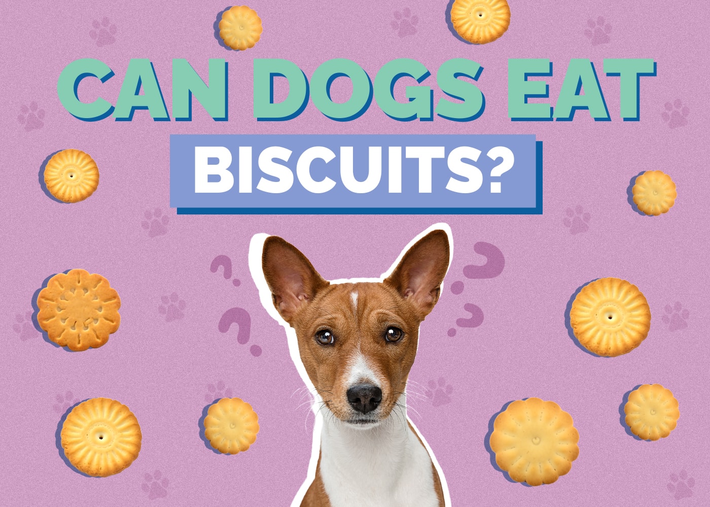 Can Dogs Eat Biscuits