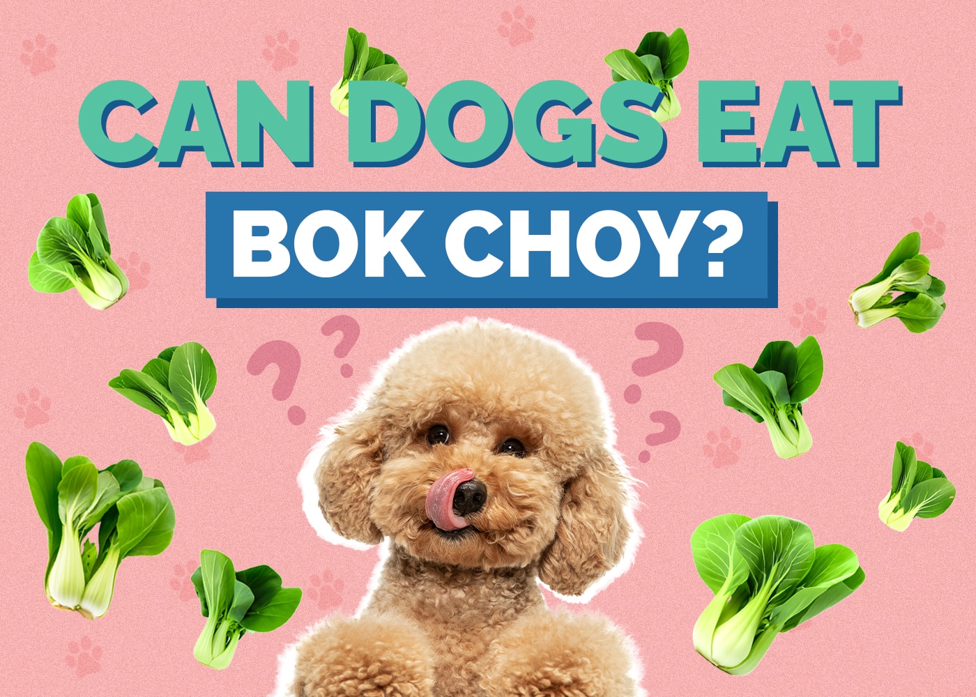 Can Dogs Eat Bok Choy