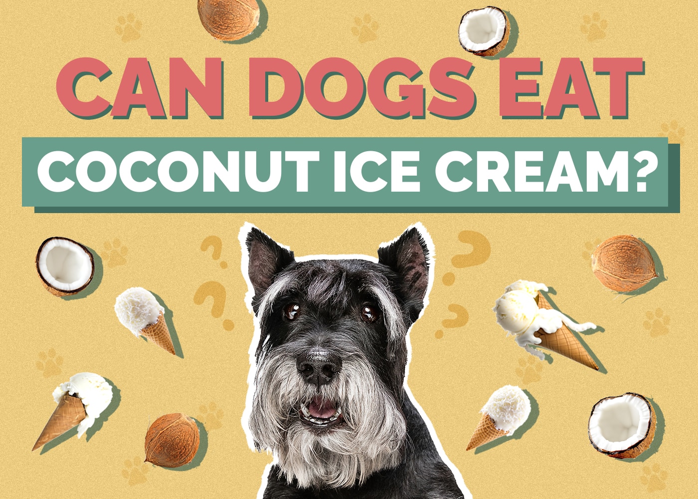 Can Dogs Eat Coconut Ice Cream