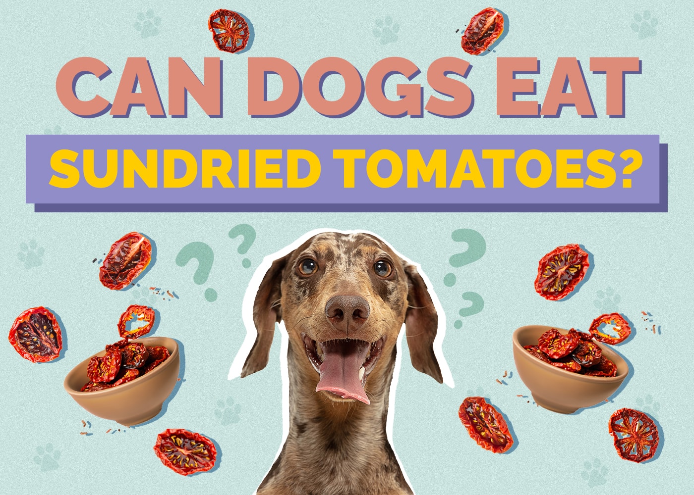 Can Dogs Eat Sundried Tomatoes