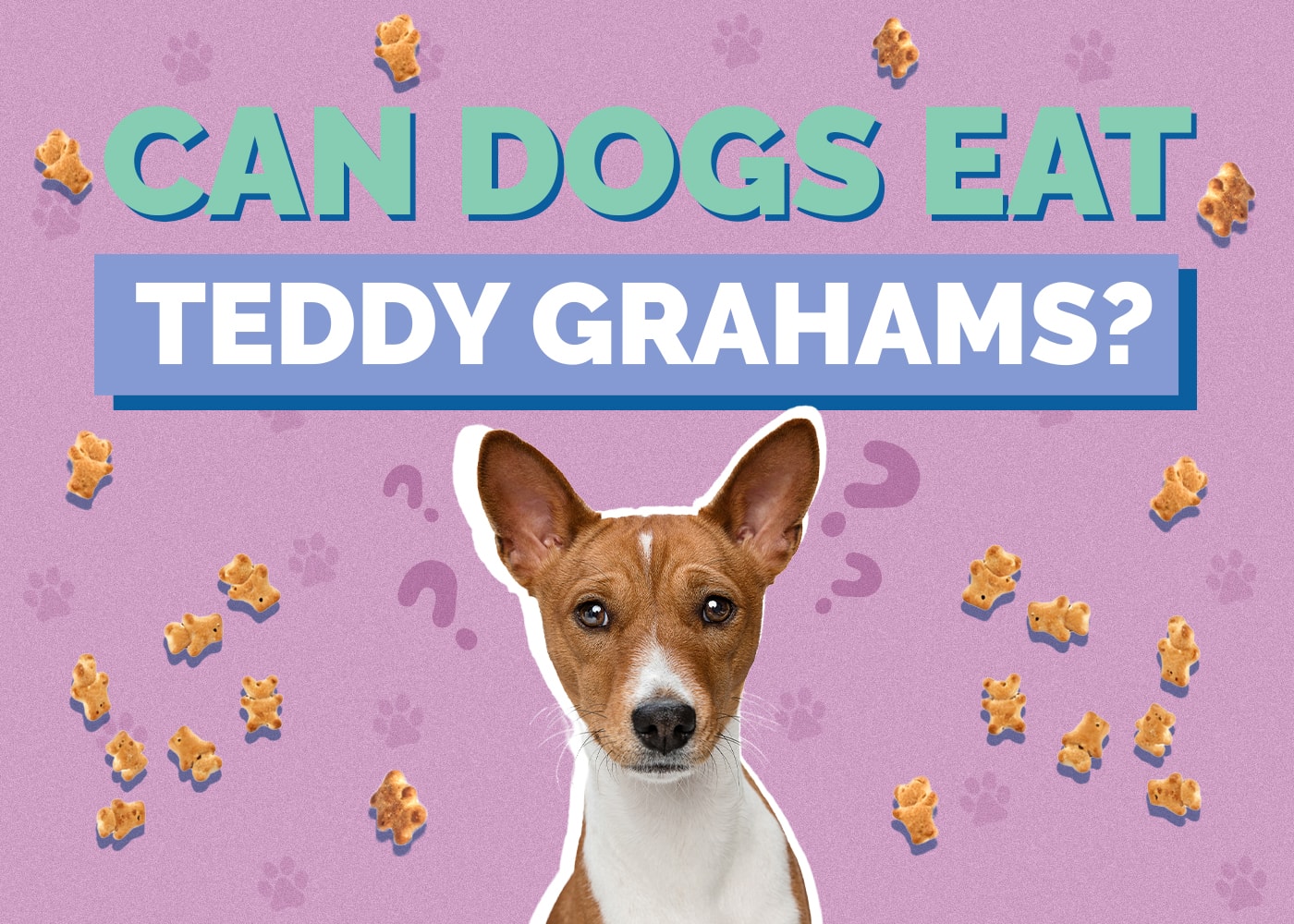 Can Dogs Eat Teddy Grahams