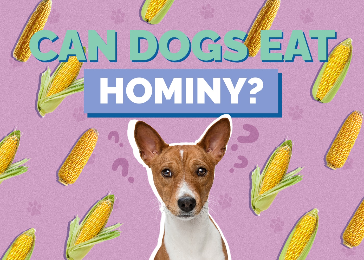 Can Dogs Eat Hominy