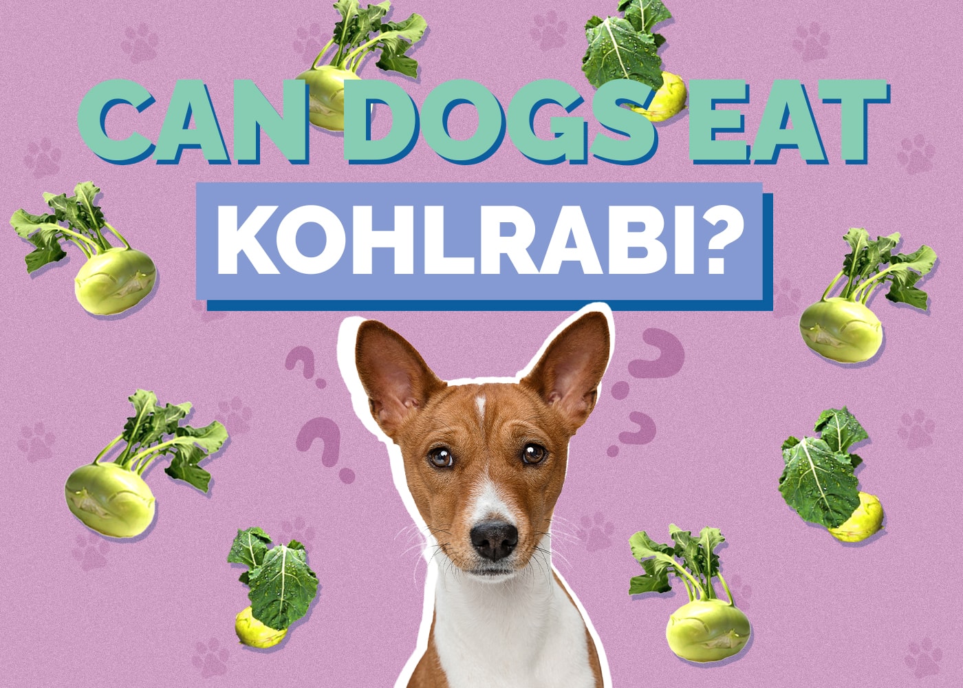 Can Dogs Eat Kohlrabi