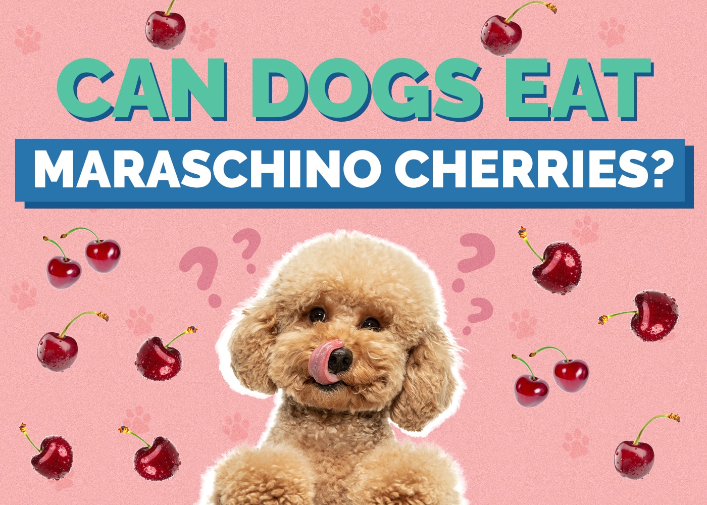 Can Dogs Eat Maraschino Cherries