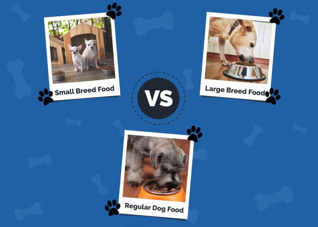 Small Breed vs Large Breed vs Regular Dog Food Key Differences