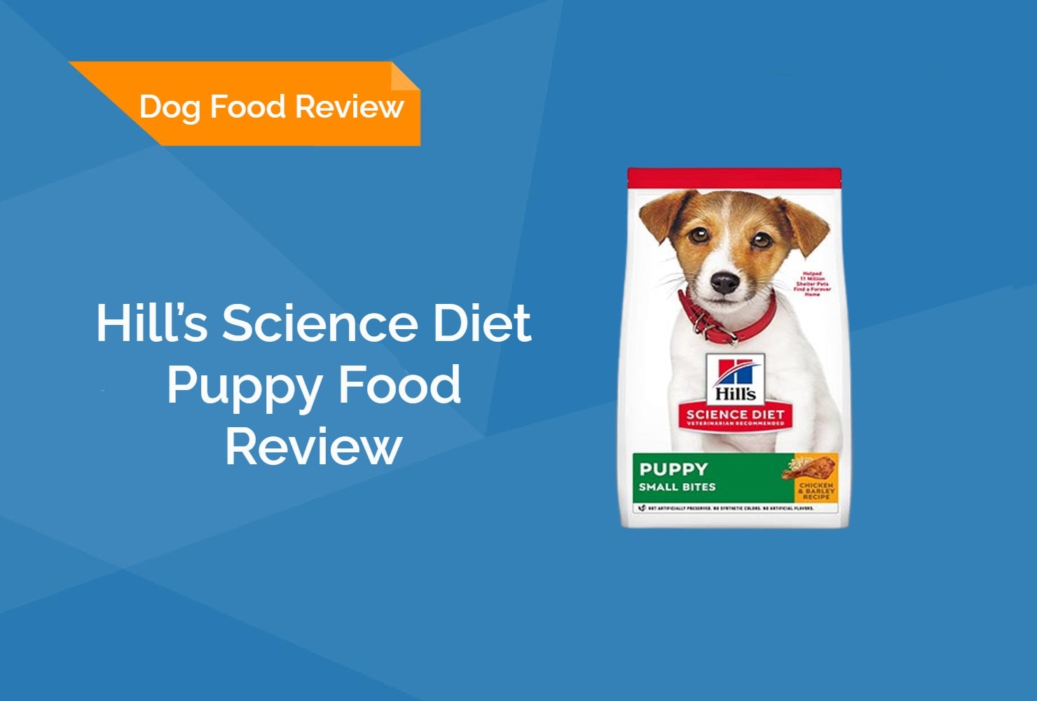 Hill’s Science Diet Puppy Food Review