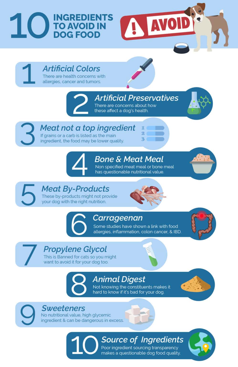 10 Ingredients to Avoid in Dog Food VetApproved Facts & FAQ Hepper
