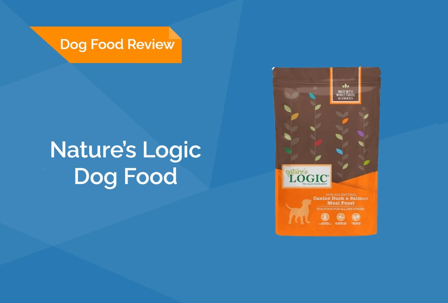 Nature’s Logic Dog Food Review