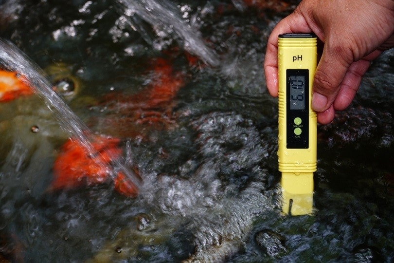 checking water quality
