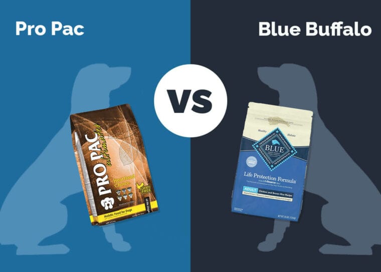 Pro Pac Dog Food Vs. Blue Buffalo (2024 Comparison) Hepper