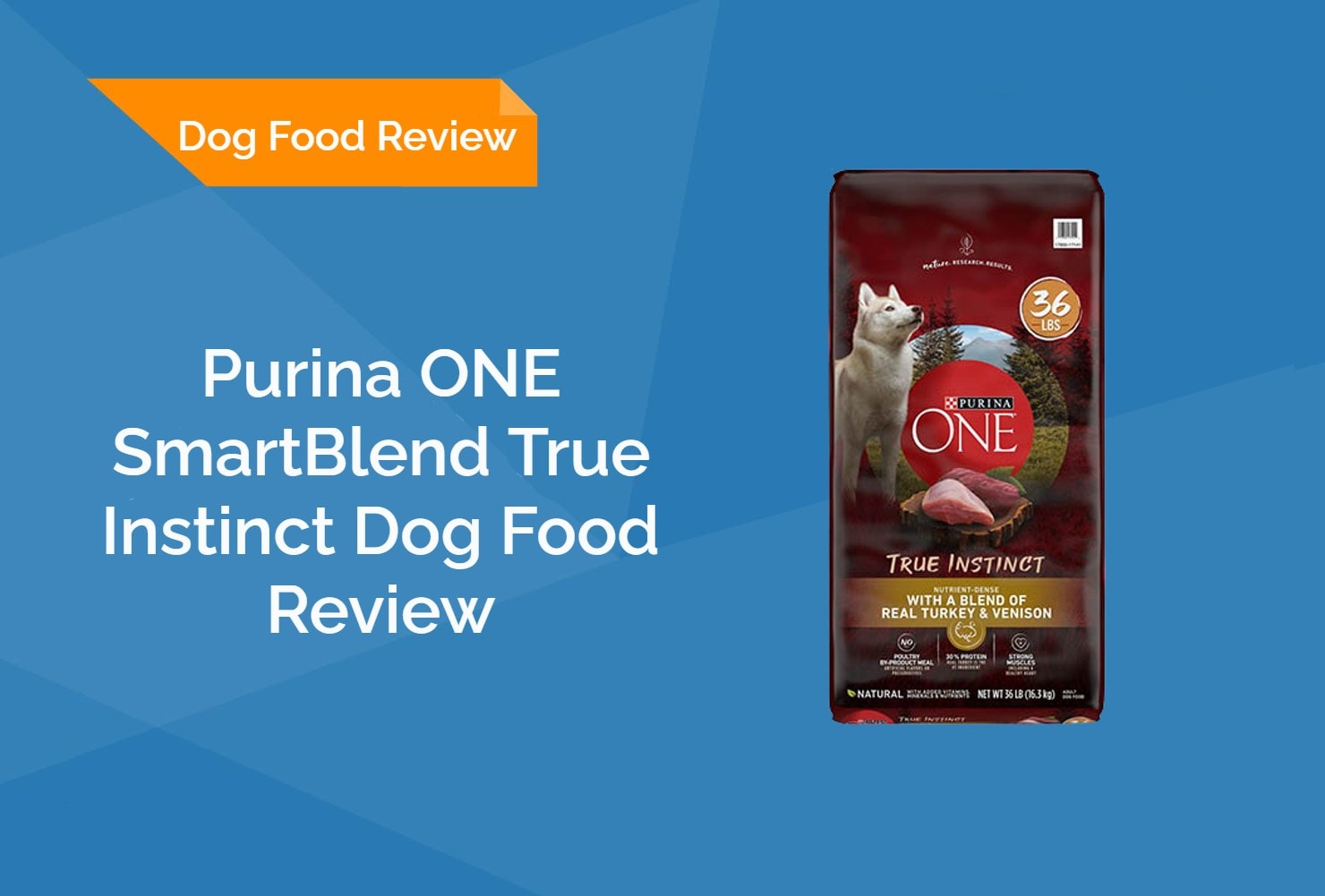 Purina ONE SmartBlend True Instinct Dog Food Review HEP