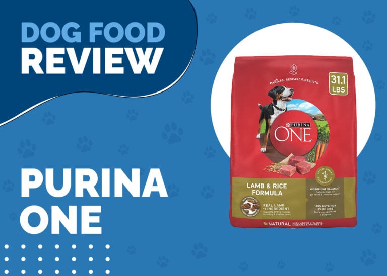 Purina One Lamb and Rice Dog Food Review 2024 Recalls, Pros & Cons