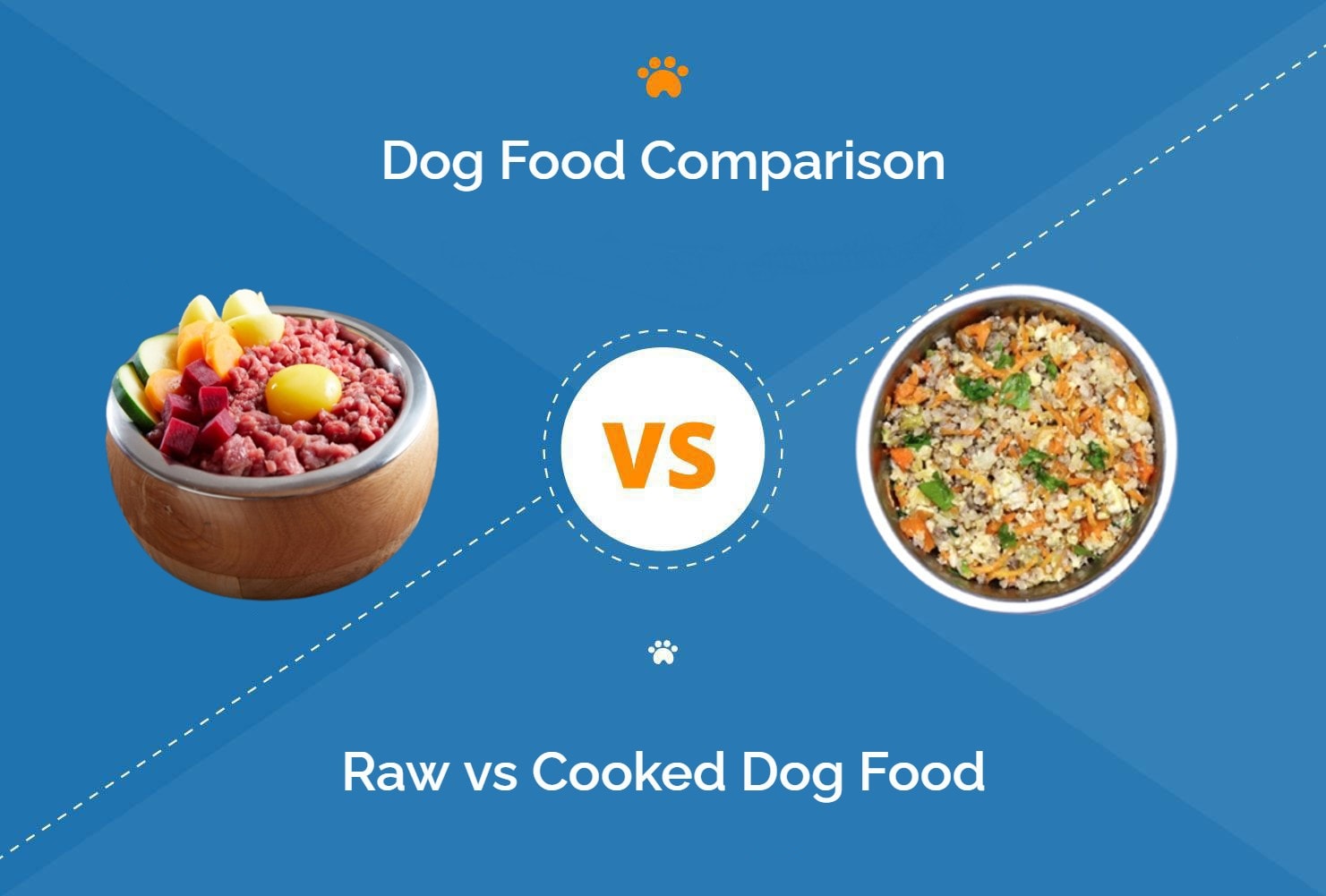 Raw vs Cooked dog food