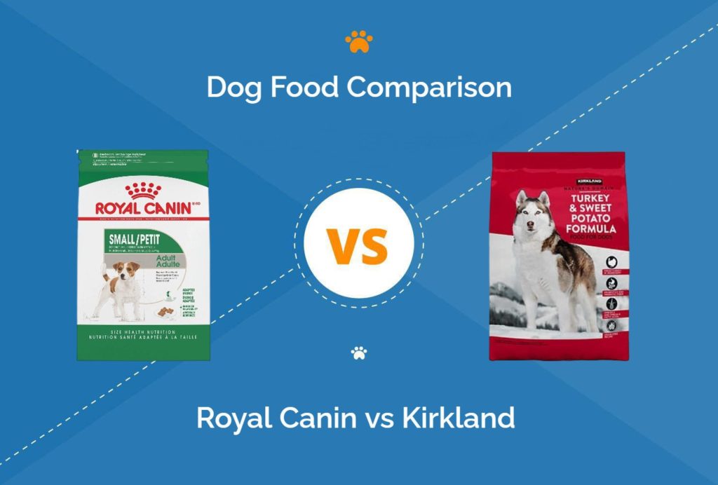 Royal Canin vs Kirkland Dog Food