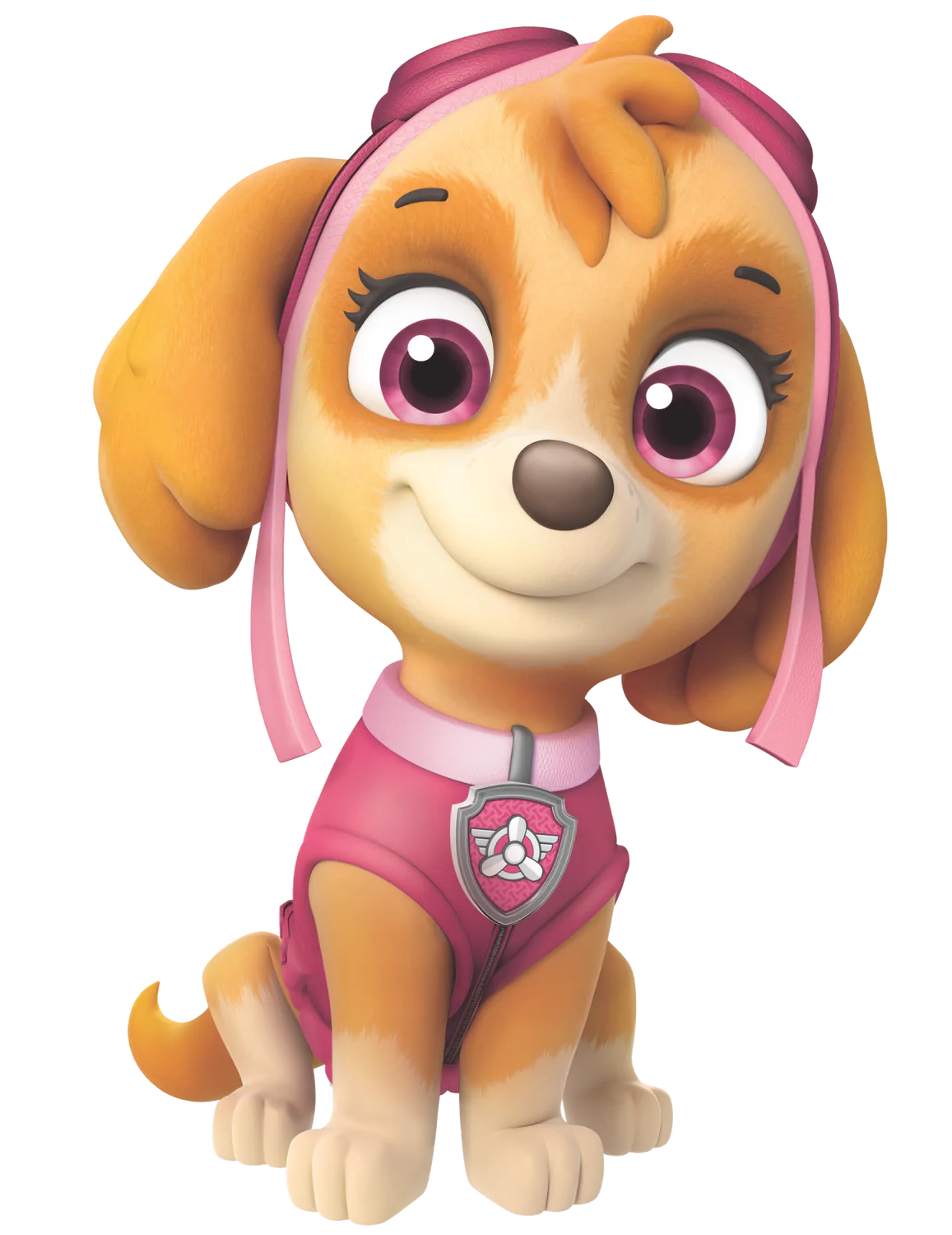 What Kind of Dog Is Skye from Paw Patrol? Cartoon Dogs Presented