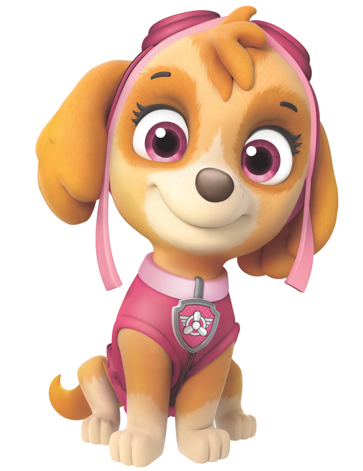 what kind of dogs are the paw patrol pups