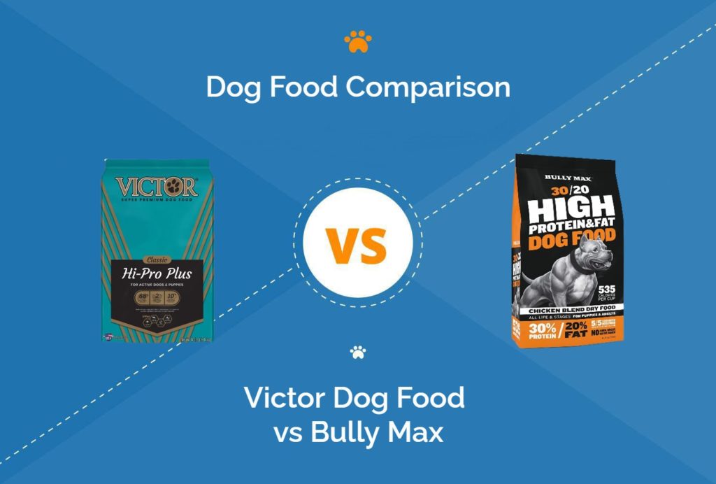 Victor Dog Food vs Bully Max Our 2023 InDepth Comparison Hepper