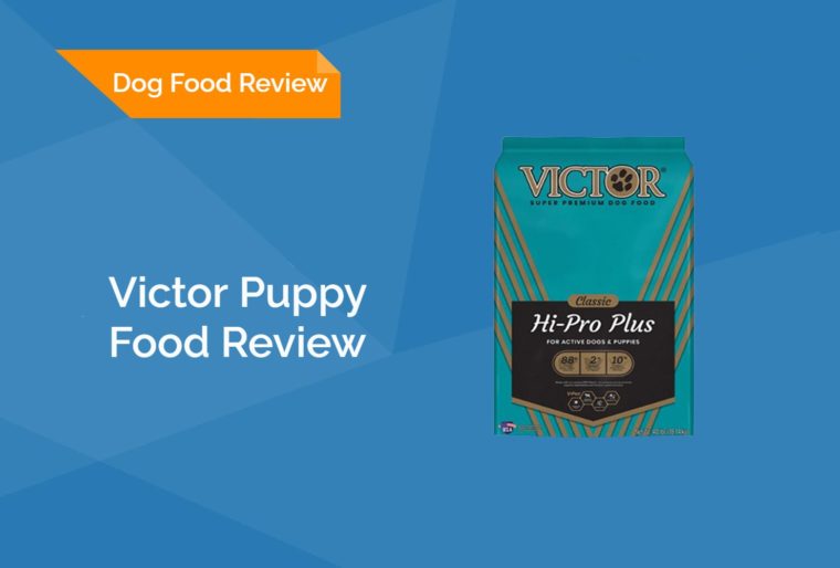 Victor Puppy Food Review 2024 Recalls, Pros & Cons Hepper